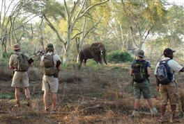 Eco Quests African Wilderness Trip
