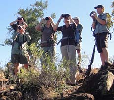 Spotting Wildlife in Kruger National Park