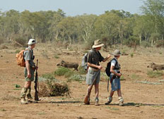 Encountering African Game